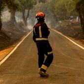 Un bombero trabaja en las labores de extinción del incendio forestal de San Martín de Valdeiglesias
