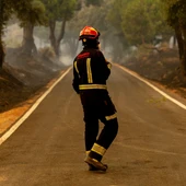 Un bombero trabaja en las labores de extinción del incendio forestal de San Martín de Valdeiglesias Un bombero trabaja en las labores de extinción del incendio forestal de San Martín de Valdeiglesias