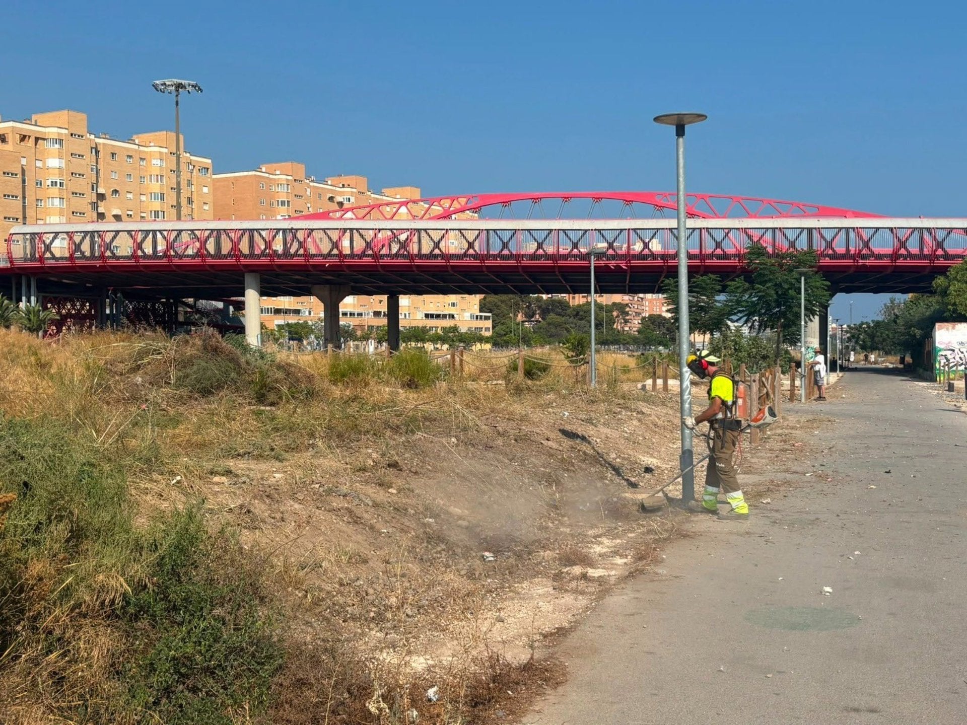 Óscar Puente anuncia el inicio de los trabajos para limpiar el entorno del Parque Central de Alicante Óscar Puente anuncia el inicio de los trabajos para limpiar el entorno del Parque Central de Alicante