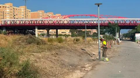 Óscar Puente anuncia el inicio de los trabajos para limpiar el entorno del Parque Central de Alicante Óscar Puente anuncia el inicio de los trabajos para limpiar el entorno del Parque Central de Alicante