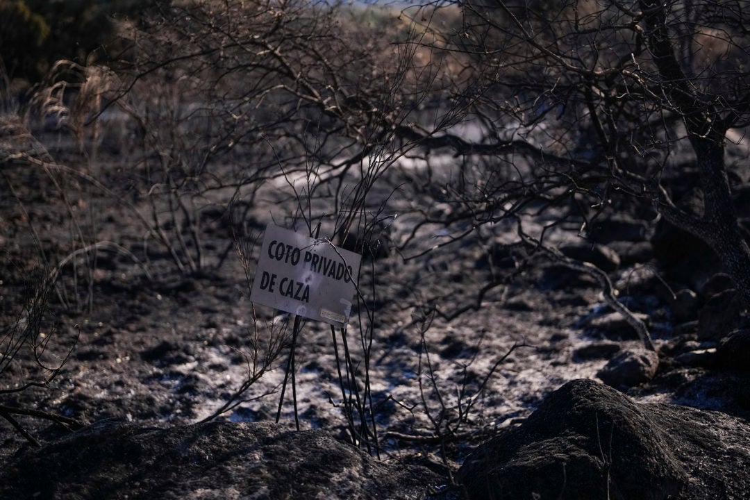 Se levanta la evacuación en 15 localidades de Madrid y de Ávila: "El perímetro del fuego está estable" Se levanta la evacuación en 15 localidades de Madrid y de Ávila: "El perímetro del fuego está estable"