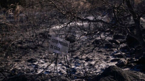  Vista de los efectos provocados por el incendio, este lunes en Aldea del Fresno (Madrid)./ EFE/Borja S&aacute;nchez-Trillo