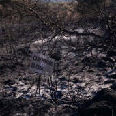  Vista de los efectos provocados por el incendio, este lunes en Aldea del Fresno (Madrid)./ EFE/Borja Sánchez-Trillo