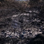 Vista de los efectos provocados por el incendio, este lunes en Aldea del Fresno (Madrid)./ EFE/Borja Sánchez-Trillo Vista de los efectos provocados por el incendio, este lunes en Aldea del Fresno (Madrid)./ EFE/Borja Sánchez-Trillo