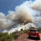 Los vecinos de La Vall d'Uixó regresan a sus casas: "Está todo lleno de ceniza, humo y animales muertos"