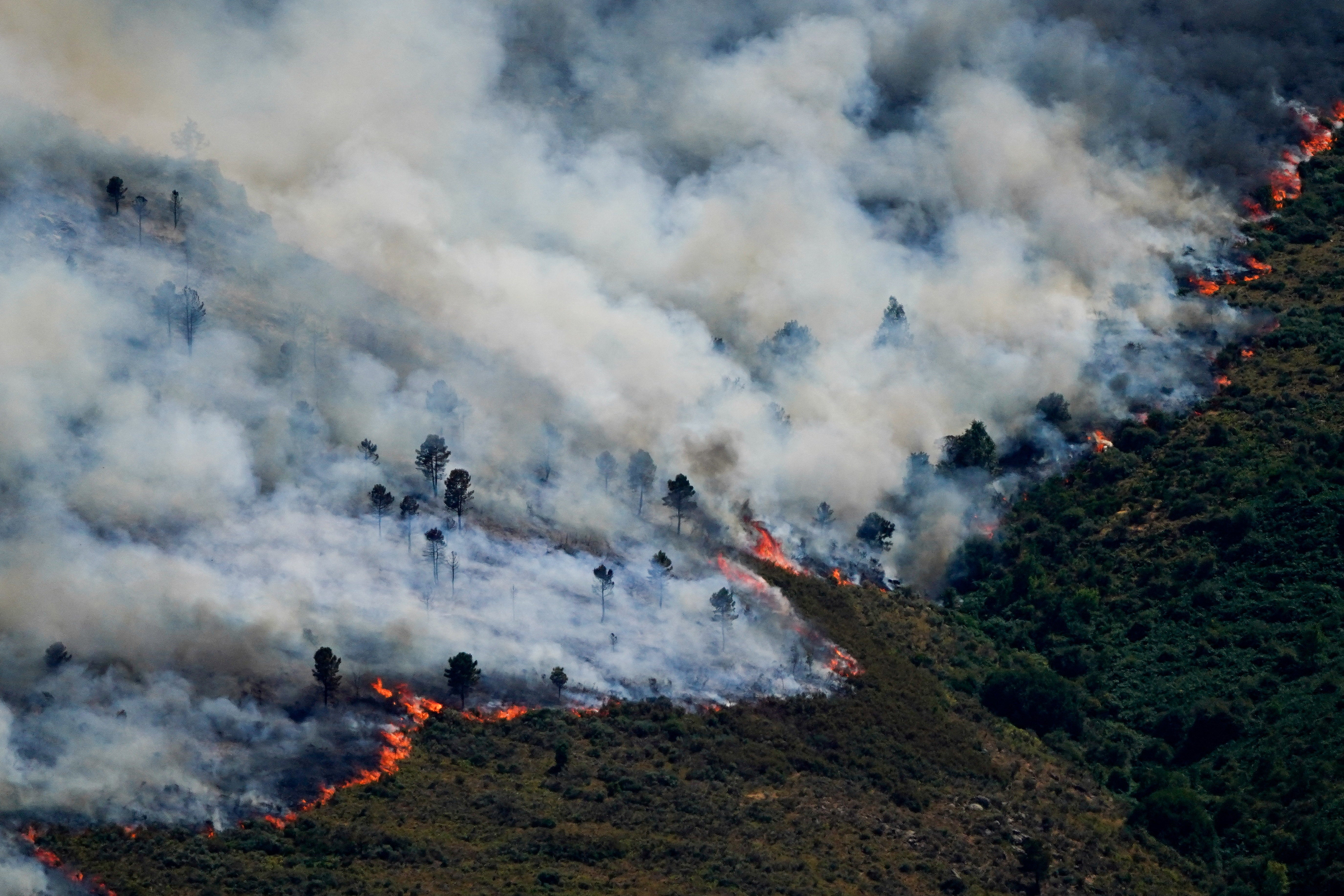 Claves de la prestación especial para los trabajadores afectados por los incendios: requisitos, duración máxima y cuándo entra en vigor Claves de la prestación especial para los trabajadores afectados por los incendios: requisitos, duración máxima y cuándo entra en vigor