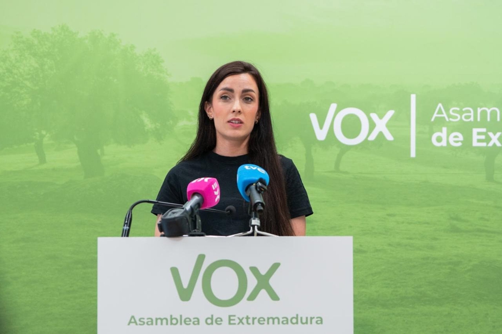 Vox reclama a la Diputación de Badajoz que "certifique todas las cantidades abonadas" al hermano de Pedro Sánchez Vox reclama a la Diputación de Badajoz que "certifique todas las cantidades abonadas" al hermano de Pedro Sánchez