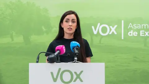 Vox reclama a la Diputación de Badajoz que "certifique todas las cantidades abonadas" al hermano de Pedro Sánchez Vox reclama a la Diputación de Badajoz que "certifique todas las cantidades abonadas" al hermano de Pedro Sánchez