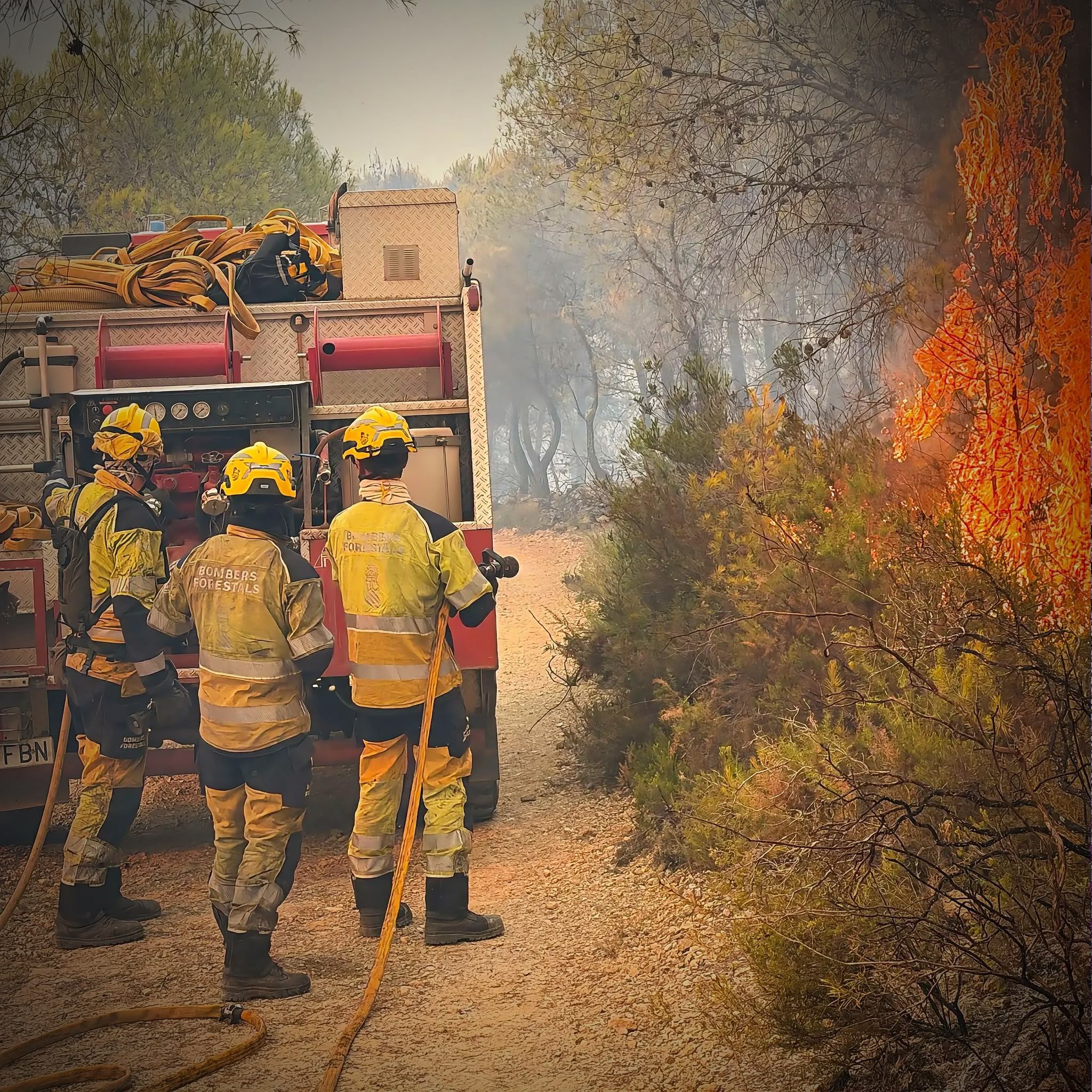 A mí no me la cuelas: la verdad detrás de los incendios forestales episode artwork