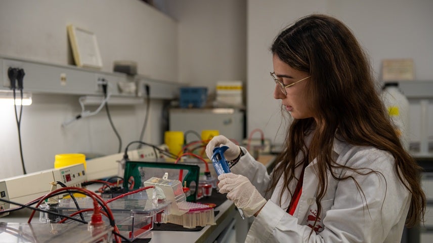 La UCLM moviliza más de 5,5 millones de euros para atraer talento investigador joven a Castilla-La Mancha La UCLM moviliza más de 5,5 millones de euros para atraer talento investigador joven a Castilla-La Mancha