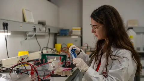 La UCLM moviliza más de 5,5 millones de euros para atraer talento investigador joven a Castilla-La Mancha La UCLM moviliza más de 5,5 millones de euros para atraer talento investigador joven a Castilla-La Mancha