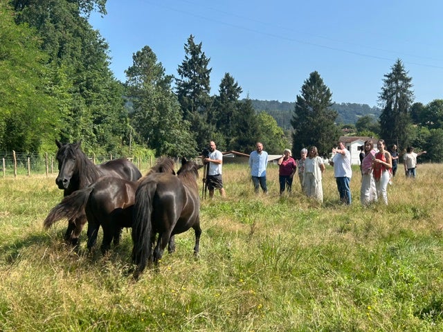 Inaugurado el Centro de Interpretación del Caballo Asturcón que refuerza la oferta turística de Piloña Inaugurado el Centro de Interpretación del Caballo Asturcón que refuerza la oferta turística de Piloña
