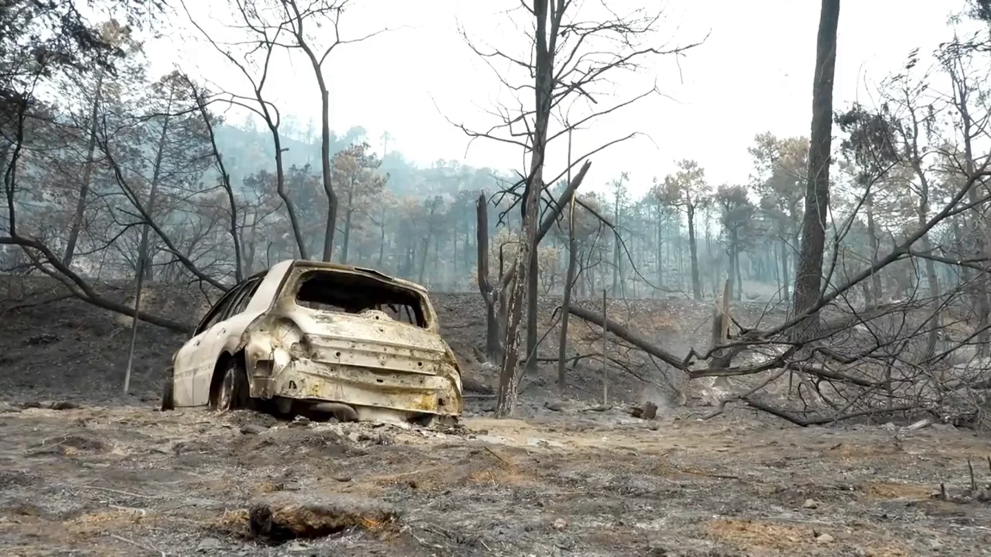 Última hora de los incendios forestales en España, en directo: el fuego rebaja su amenaza en Madrid y en Castellón sigue sin control Última hora de los incendios forestales en España, en directo: el fuego rebaja su amenaza en Madrid y en Castellón sigue sin control