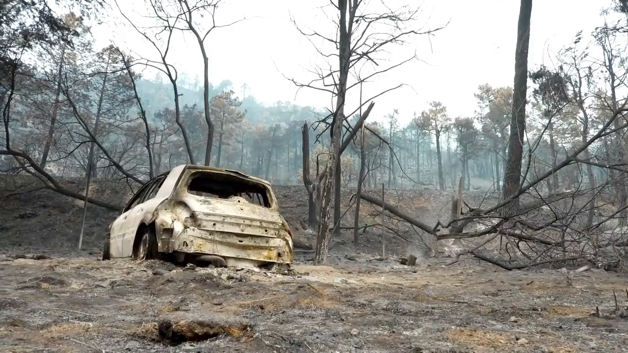Estabilizados los incendios de Castellón y Zamora tras jornadas intensas de trabajo contra el fuego en España Estabilizados los incendios de Castellón y Zamora tras jornadas intensas de trabajo contra el fuego en España