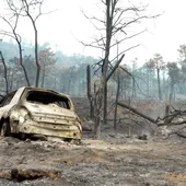 Última hora de los incendios forestales en España, en directo: el fuego rebaja su amenaza en Madrid y en Castellón sigue sin control Última hora de los incendios forestales en España, en directo: el fuego rebaja su amenaza en Madrid y en Castellón sigue sin control
