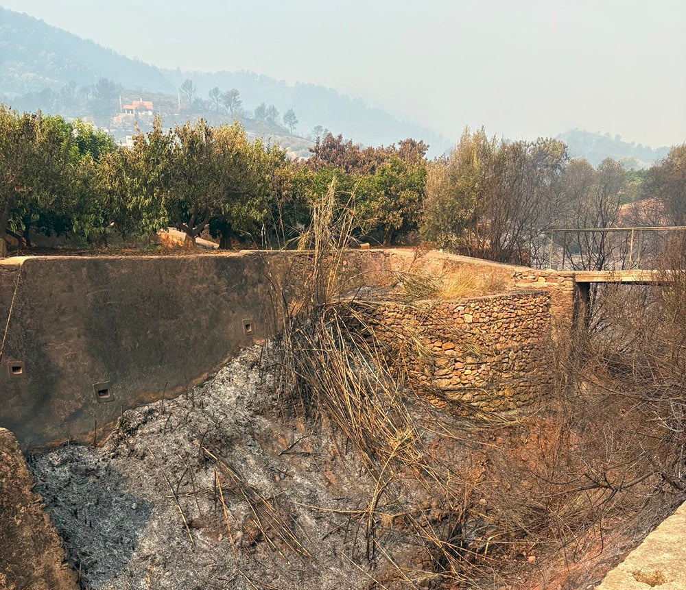 AVA-Asaja exige a la CHJ limpiar los barrancos para evitar la propagación de fuego a los huertos AVA-Asaja exige a la CHJ limpiar los barrancos para evitar la propagación de fuego a los huertos