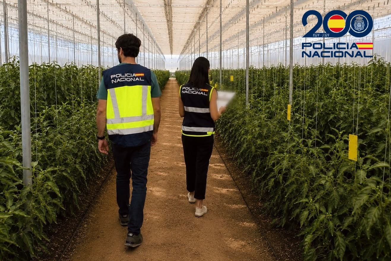 Destapan un fraude de 500.000 euros a la Seguridad Social con una red de empresas agrícolas en Almería Destapan un fraude de 500.000 euros a la Seguridad Social con una red de empresas agrícolas en Almería