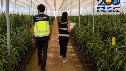 Destapan un fraude de 500.000 euros a la Seguridad Social con una red de empresas agrícolas en Almería Destapan un fraude de 500.000 euros a la Seguridad Social con una red de empresas agrícolas en Almería