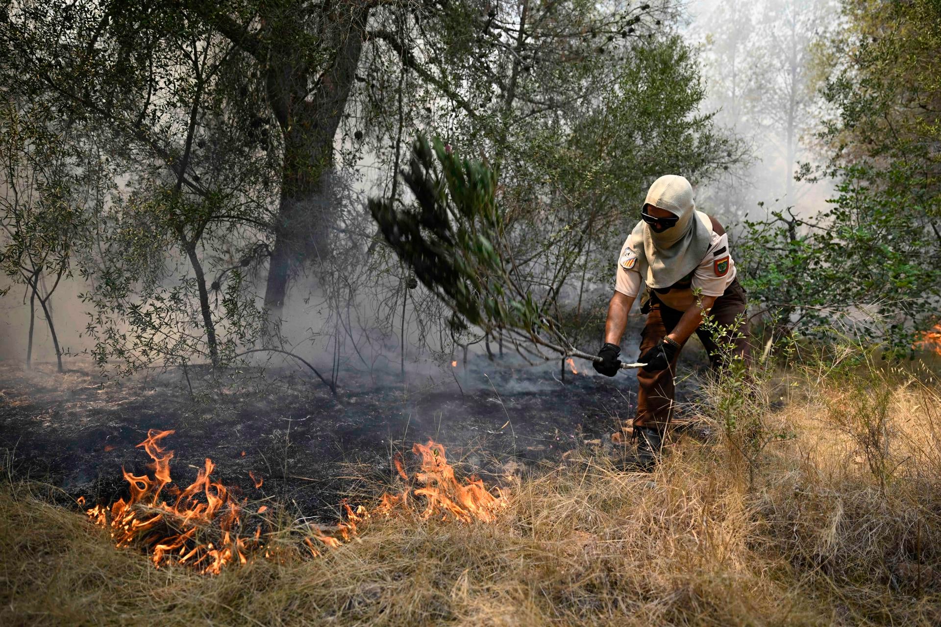 El incendio arrasa 2.000 hectáreas agrícolas y ganaderas que podrían pasar al abandono El incendio arrasa 2.000 hectáreas agrícolas y ganaderas que podrían pasar al abandono