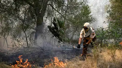 Efectivos de bomberos trabajan en Betxí (Castellón), uno de los municipios afectados por el incendio declarado en la Vall d'Uixó (Castellón). Efectivos de bomberos trabajan en Betxí (Castellón), uno de los municipios afectados por el incendio declarado en la Vall d'Uixó (Castellón).