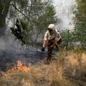 Efectivos de bomberos trabajan en Betxí (Castellón), uno de los municipios afectados por el incendio declarado en la Vall d'Uixó (Castellón).