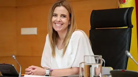 El PSOE de Palencia reclama a la Junta de Castilla y León la elaboración de un Plan Integral de Atención al TDAH .