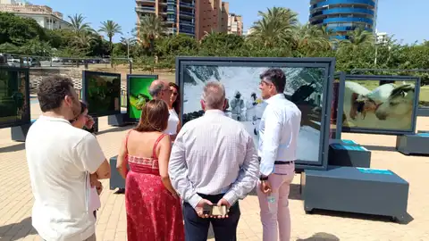 Villajoyosa descubre el significado del color en el mundo en una exposición de fotografías de National Geographic Villajoyosa descubre el significado del color en el mundo en una exposición de fotografías de National Geographic