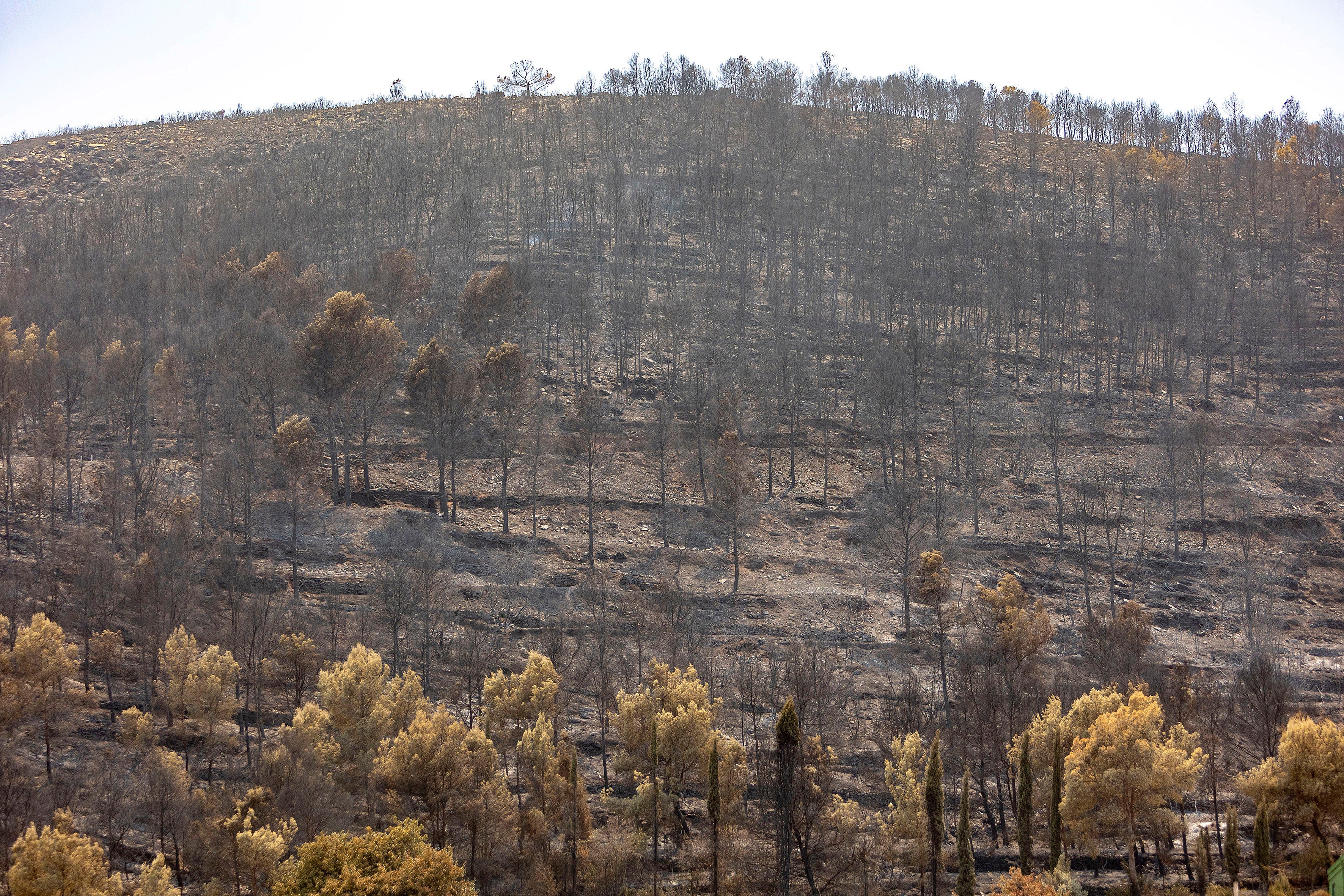 El incendio de la Vall d'Uixó evoluciona favorablemente, aunque continúa sin estar controlado El incendio de la Vall d'Uixó evoluciona favorablemente, aunque continúa sin estar controlado
