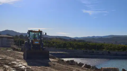 Trabajos en zonas agrarias afectadas por la dana en Turís (Valencia). Trabajos en zonas agrarias afectadas por la dana en Turís (Valencia).