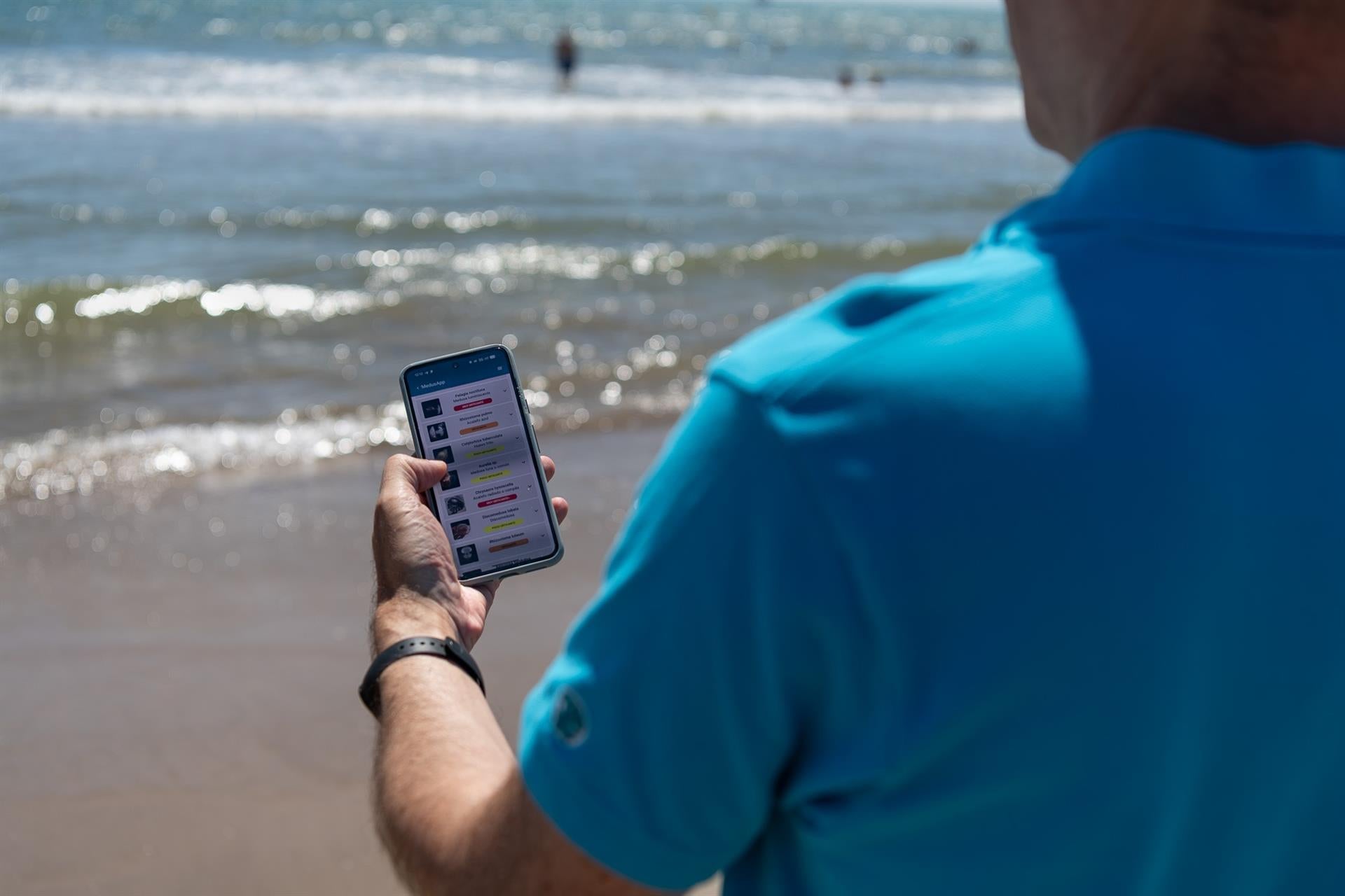 MedusApp supera las 700.000 descargas y estrena mapa interactivo para rastrear medusas este verano MedusApp supera las 700.000 descargas y estrena mapa interactivo para rastrear medusas este verano