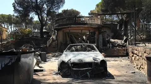 Zonas calcinadas tras el paso del incendio de la Sierra Oeste de Madrid Zonas calcinadas tras el paso del incendio de la Sierra Oeste de Madrid