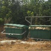 Contenedores de basura con animales dentro
