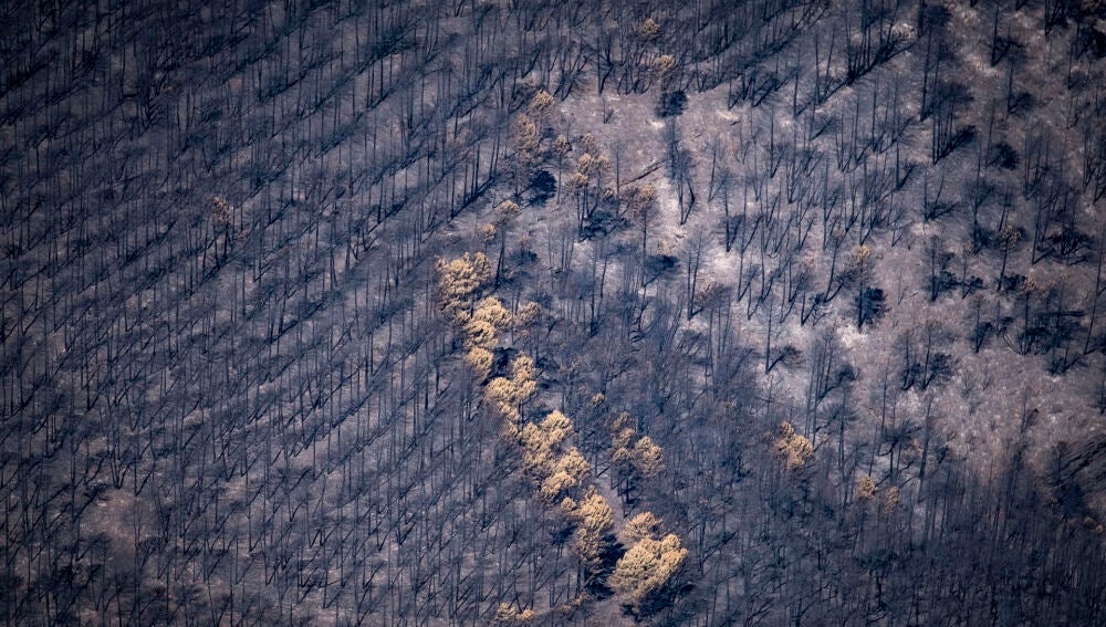 Greenpeace ha documentado, con imágenes exclusivas desde el aire, las zonas quemadas por los incendios en Toledo, Madrid, Ávila, Segovia y Guadalajara