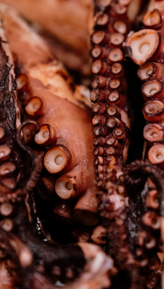 El pulpo, presente en los platos isleños El pulpo, presente en los platos isleños
