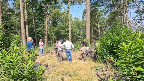La Junta recepciona las obras de restauración por los incendios en Caminomorisco, Hervás y Casas del Monte en 2025 La Junta recepciona las obras de restauración por los incendios en Caminomorisco, Hervás y Casas del Monte en 2025