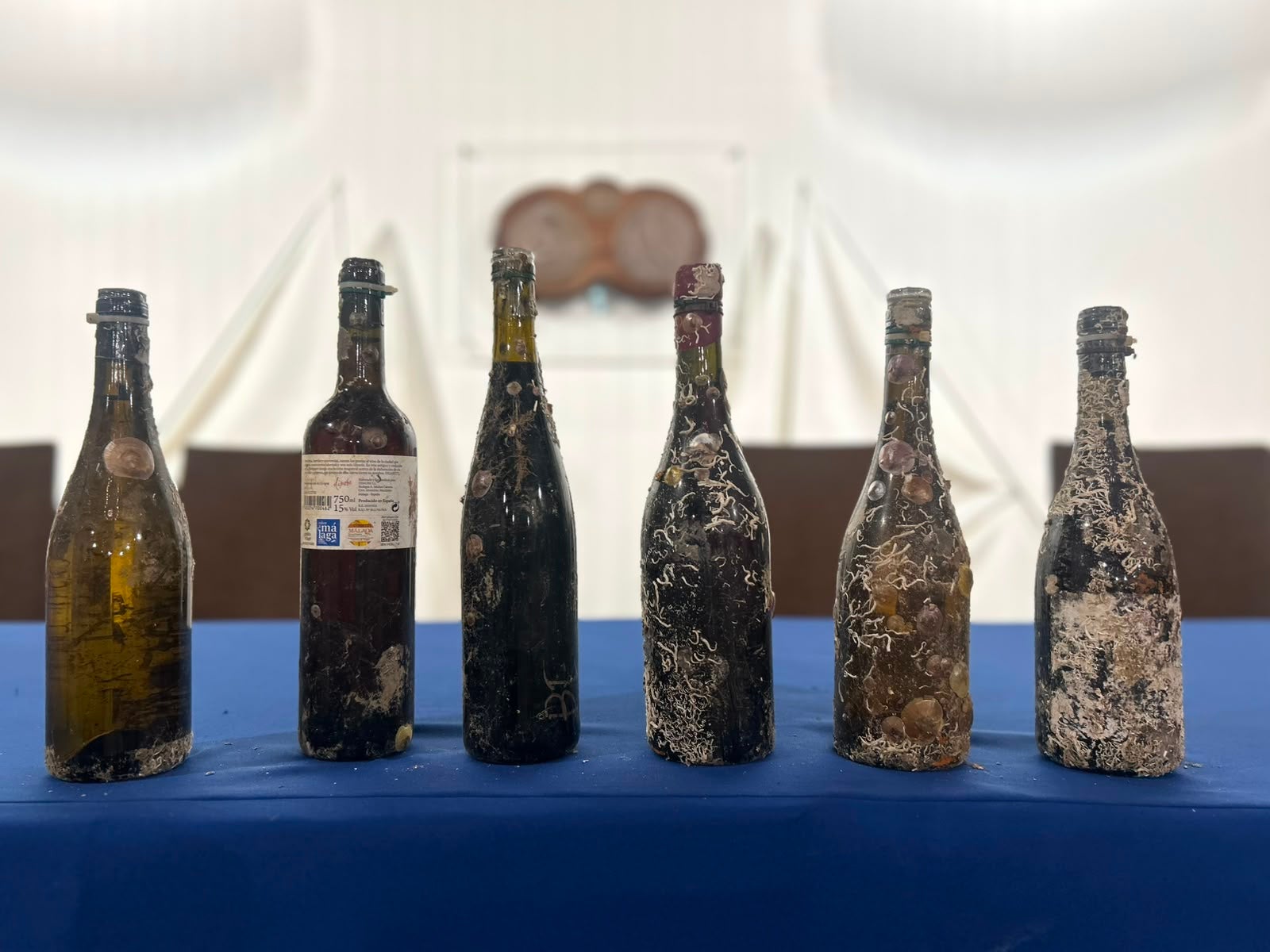 Investigadores de la UMA estudian el cambio que se produce en los vinos al criarlos bajo el mar Investigadores de la UMA estudian el cambio que se produce en los vinos al criarlos bajo el mar