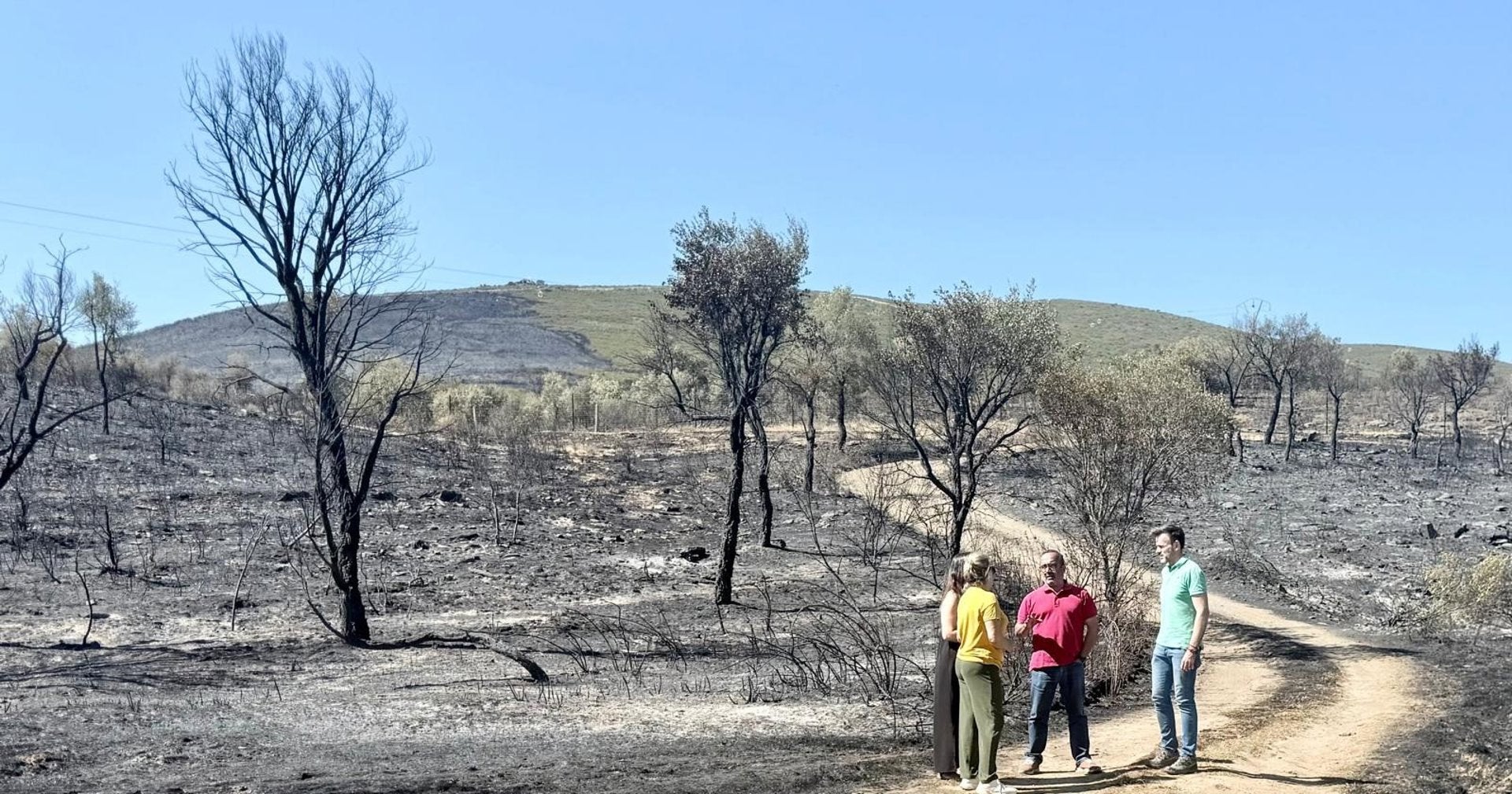 La Diputación de Cáceres colaborará en la recuperación de zonas afectadas por el incendio de Mirabel y Casas de Millán La Diputación de Cáceres colaborará en la recuperación de zonas afectadas por el incendio de Mirabel y Casas de Millán