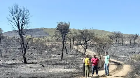 La Diputación de Cáceres colaborará en la recuperación de zonas afectadas por el incendio de Mirabel y Casas de Millán La Diputación de Cáceres colaborará en la recuperación de zonas afectadas por el incendio de Mirabel y Casas de Millán