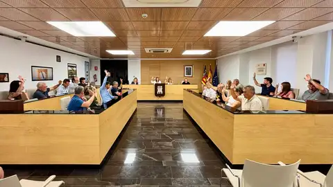 Almassora aprueba el convenio con la Generalitat para crear una zona verde entre la playa y el polígono del Serrallo. Almassora aprueba el convenio con la Generalitat para crear una zona verde entre la playa y el polígono del Serrallo.