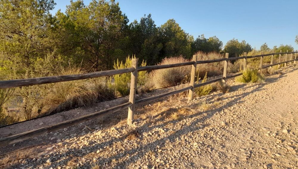Mejora del vallado del vial ecológico de San Bartolomé.