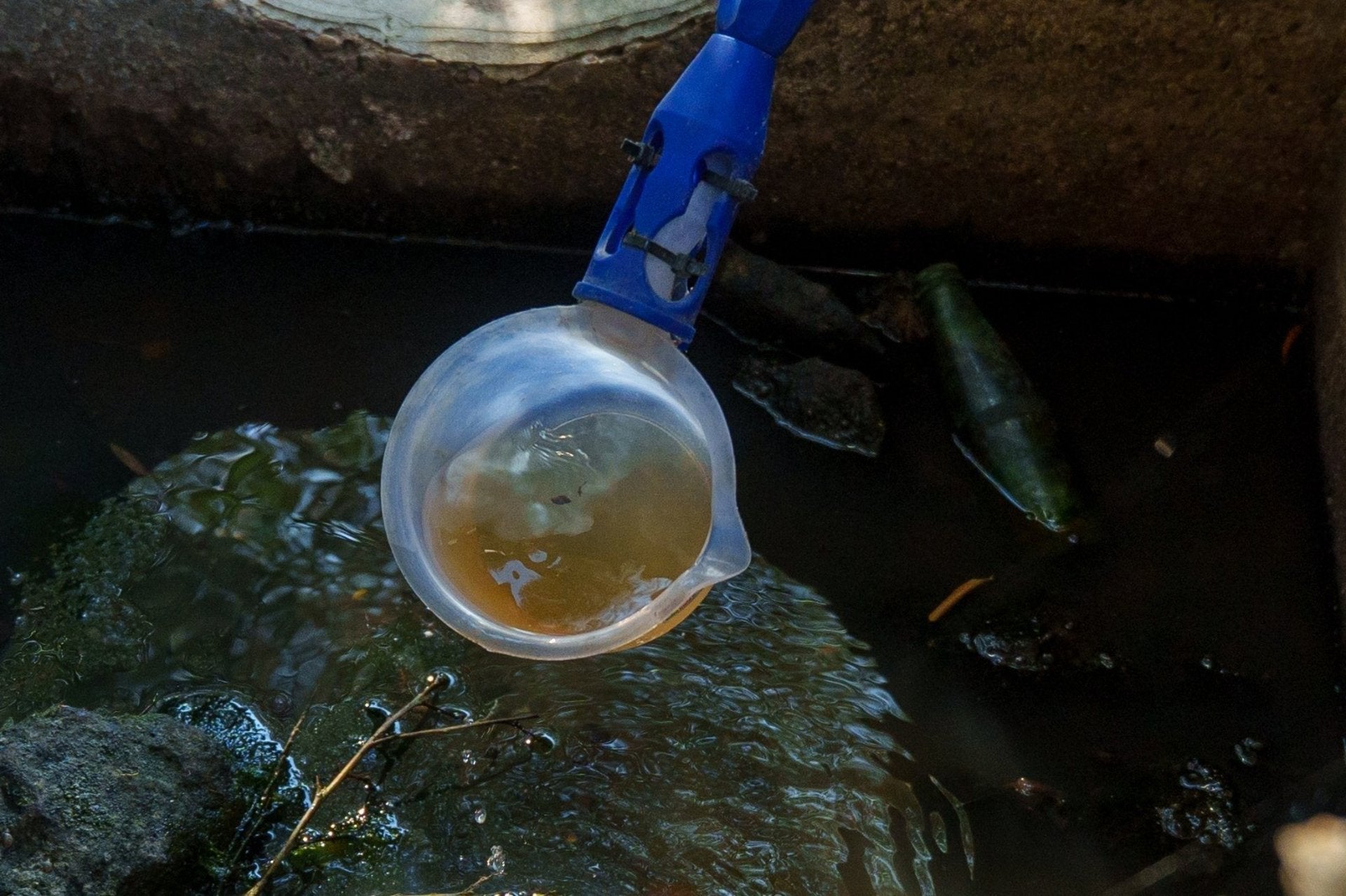 Arranca una nueva fase de tratamientos contra mosquitos portadores del virus del Nilo en arrozales Arranca una nueva fase de tratamientos contra mosquitos portadores del virus del Nilo en arrozales