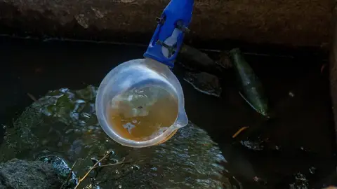 Arranca una nueva fase de tratamientos contra mosquitos portadores del virus del Nilo en arrozales Arranca una nueva fase de tratamientos contra mosquitos portadores del virus del Nilo en arrozales