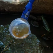 Arranca una nueva fase de tratamientos contra mosquitos portadores del virus del Nilo en arrozales Arranca una nueva fase de tratamientos contra mosquitos portadores del virus del Nilo en arrozales