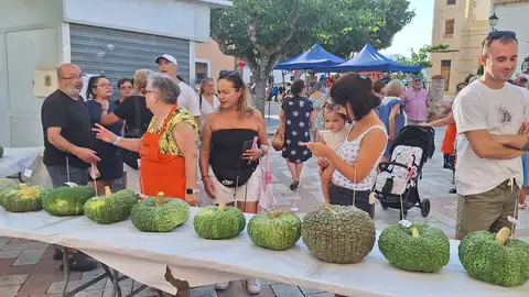 Villajoyosa celebra su tradicional concurso de calabaza vilera en la Ermita Villajoyosa celebra su tradicional concurso de calabaza vilera en la Ermita