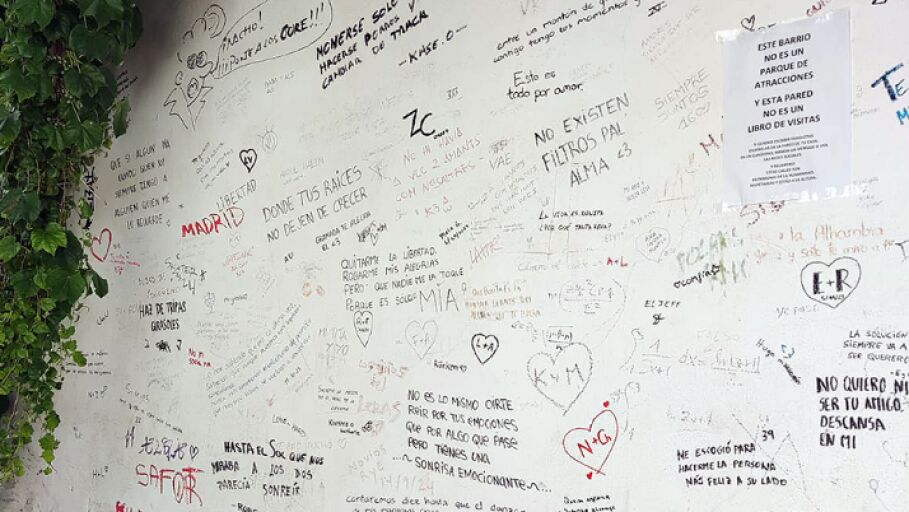 Frases en el Albaic&iacute;n