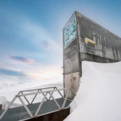 La Bóveda Global de Semillas de Svalbard, Premio Princesa de Asturias de Cooperación Internacional 2026 La Bóveda Global de Semillas de Svalbard, Premio Princesa de Asturias de Cooperación Internacional 2026