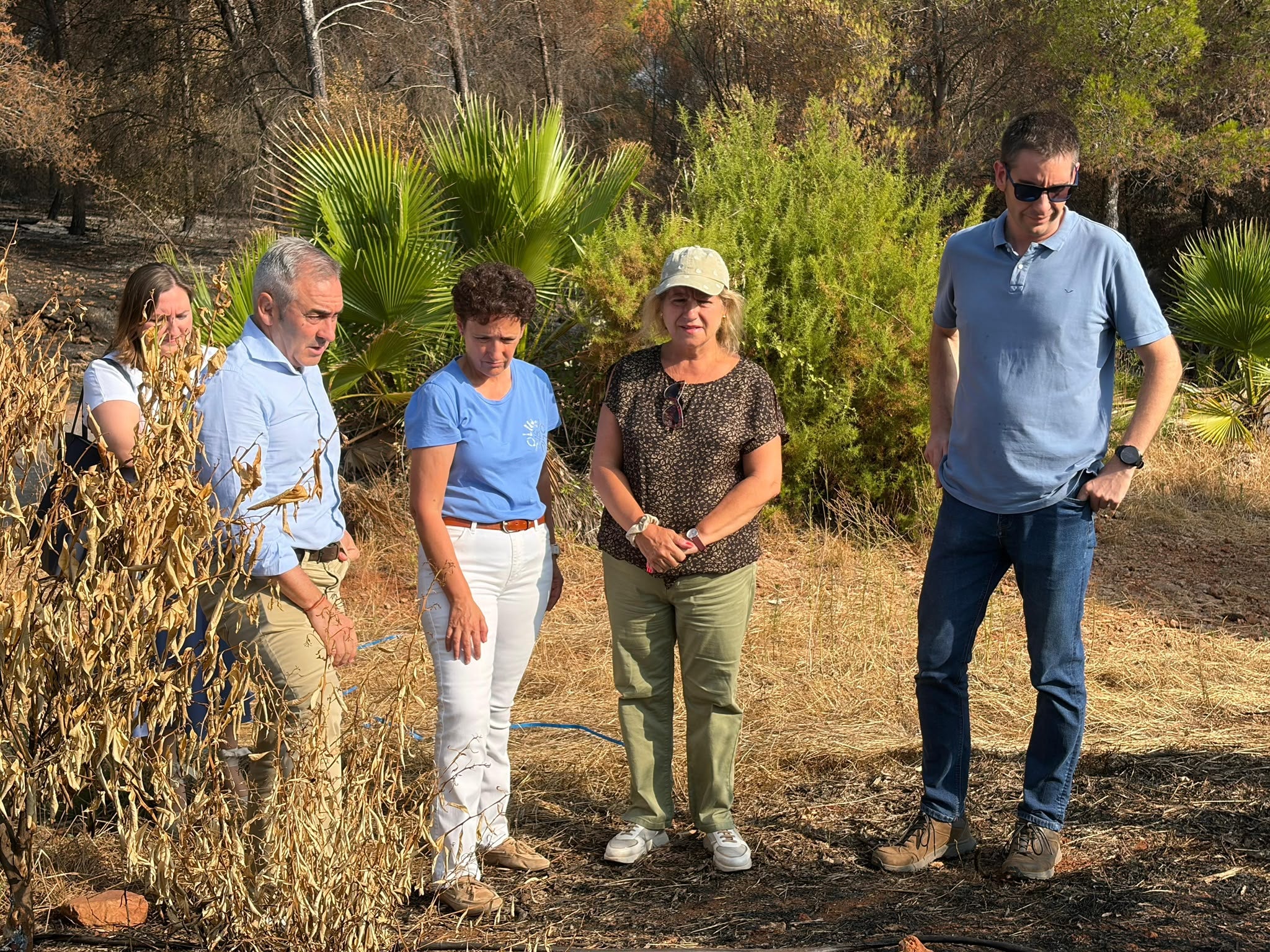 El Consell ofrecerá ayudas al sector agrario afectado por el incendio de la Vall d’Uixó El Consell ofrecerá ayudas al sector agrario afectado por el incendio de la Vall d’Uixó
