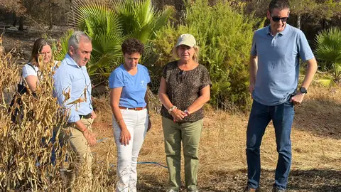 El Consell ofrecerá ayudas al sector agrario afectado por el incendio de la Vall d’Uixó El Consell ofrecerá ayudas al sector agrario afectado por el incendio de la Vall d’Uixó