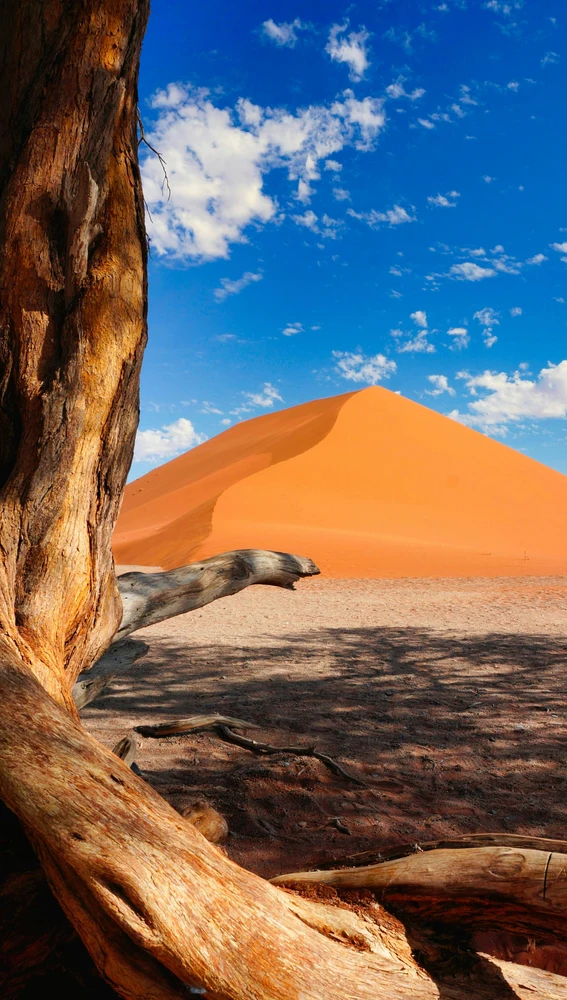 Duna en Namibia Duna en Namibia