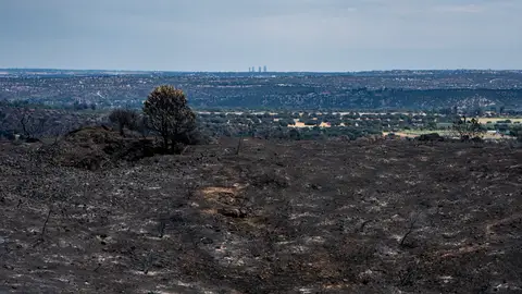 Vista tras el incendio en Villa del Prado, Madrid (España) Vista tras el incendio en Villa del Prado, Madrid (España)/ Gabri Solera / Europa Press
